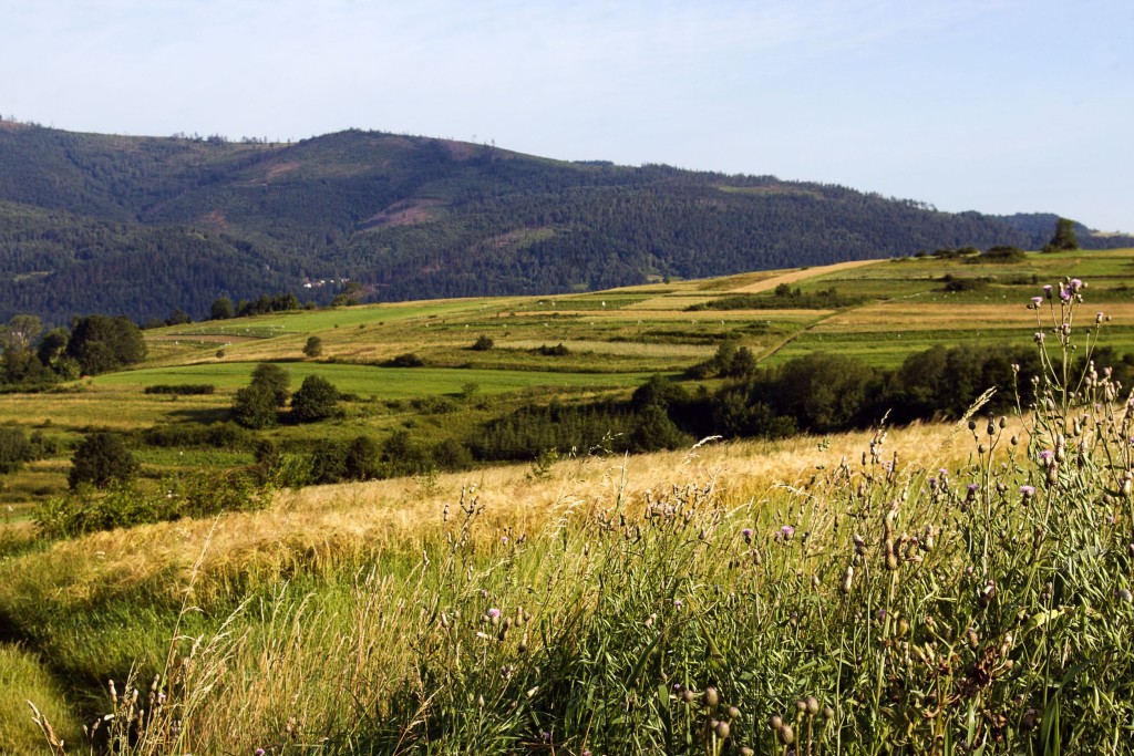 Obr. 01. Vnímání krajiny přirozenou lidskou cestou, smysly jsou zaměřeny na okolí, horizont a přirozené krajinné dominanty.