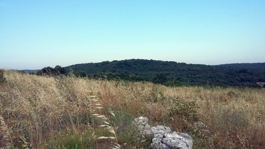 Viewing to the south from the hillford top.