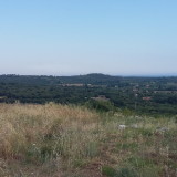 Viewing to the north from the hillford top.